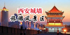 女人被强奸的视频网站中国陕西-西安城墙旅游风景区